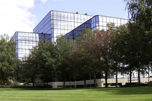 Commercial Tree Trimming in Syracuse